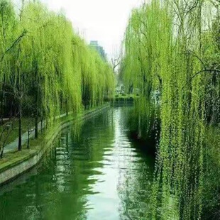 ���������䴹��ֱ���������B���s������S������z�����繤�̾G��