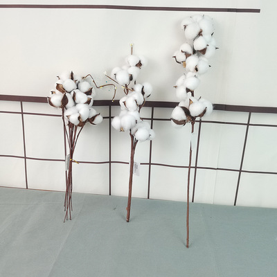 simulation Cotton natural Dried flowers manual make Retro rural flower arrangement Flower art Garland Bouquet of flowers shot prop