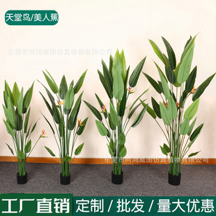 BGֲ ҃ȴͷ˽Կ͏d˽쾰b