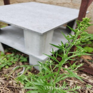 ��������픸����D  �w�Sˮ��ܿո����� ���汣�ط�������