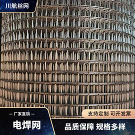 钢丝网抹墙细铁丝电焊网批荡挂网内外墙保温防开裂焊接方格网厂家