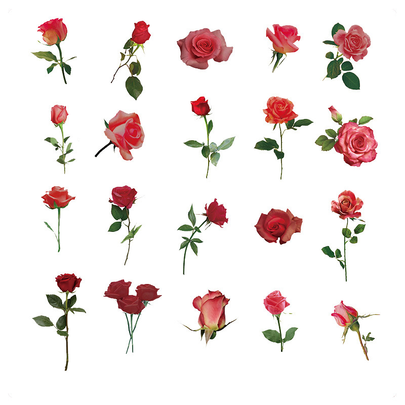 Plantas y flores materiales pegatinas artísticas decoración collage chica Goku tarjeta taza de agua caja de teléfono móvil diy personalizado