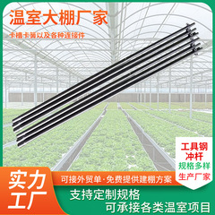 メーカー卸売り温室ハウス地錨新型トンネル圧膜工具鋼パンチロッド