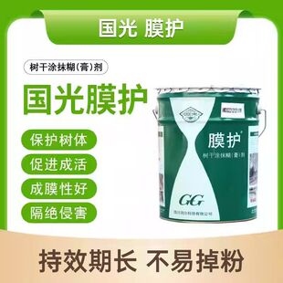 ����Ĥ�o��ľ��ɉT�ׄ������������x����ˢ�������ʯ�ҷ�