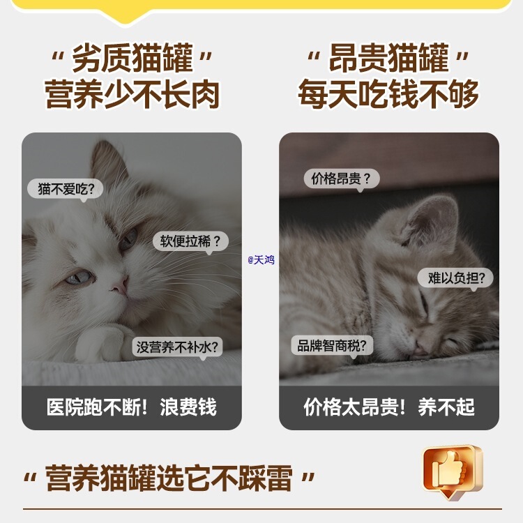 Canned Cat Staple Food Cans, Cat Snacks, Nutritional Supplements, Fattening Adult Cats and Kittens, Pet Hydration Wet Food 24 Cans