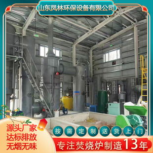 Fenglin Customized Household Garbage Incinerator, High Temperature Pyrolysis and Gasification Complete Set of Equipment for Township Garbage, Meeting Emission Standards