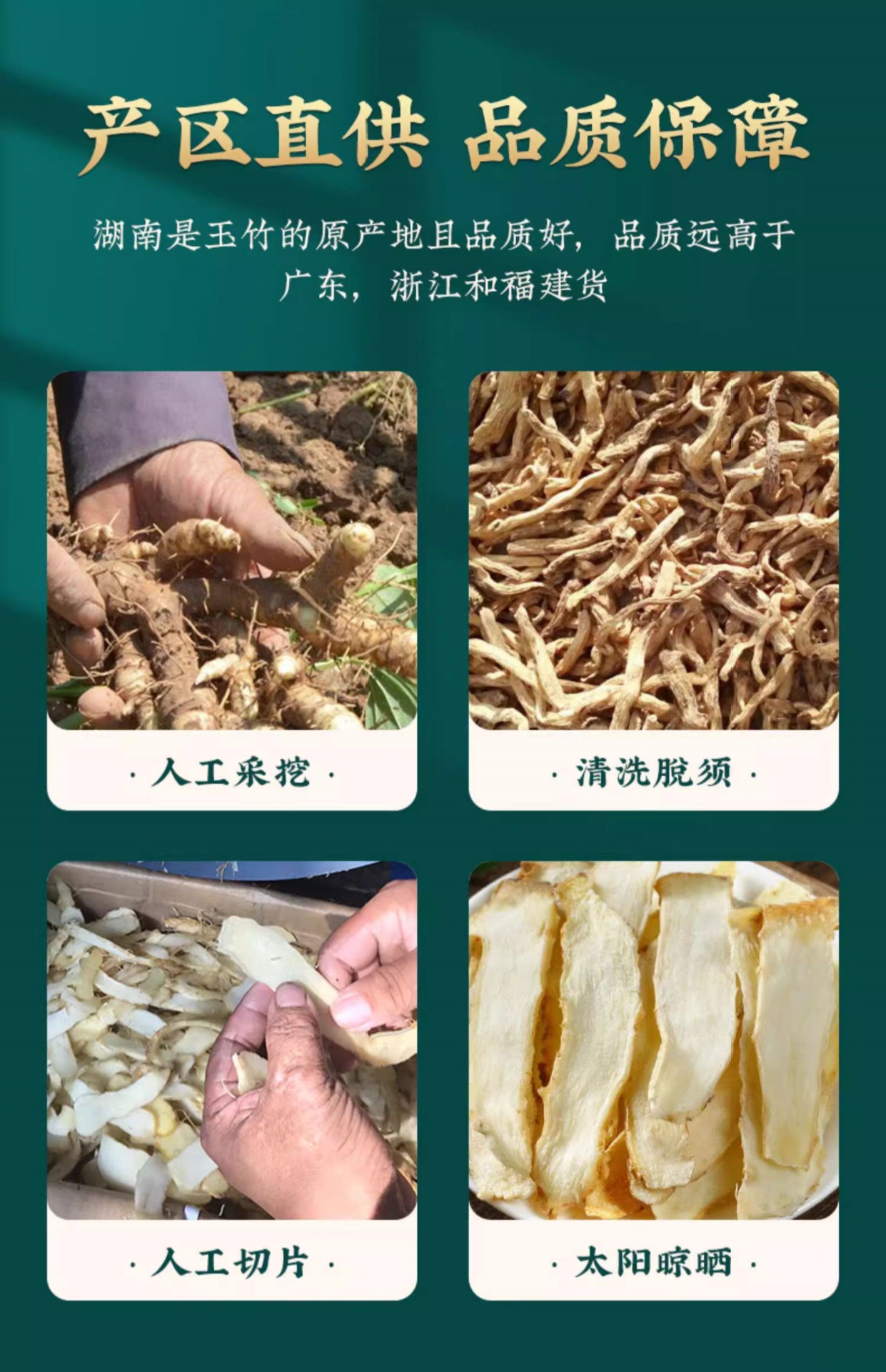 Yu Zhu Dried Polygonatum Slices 500g Hunan Fragrant Solomon Seal for Soup and Tea quality and texture