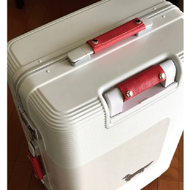 Case to go out, suitcase, bag, removable pen