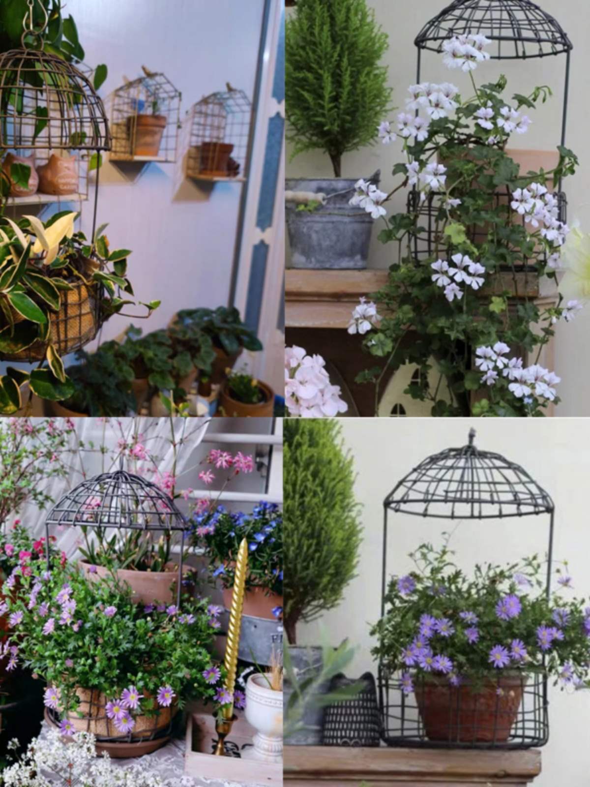 吊兰垂吊花盆吊挂悬挂吊篮花架挂架垂挂壁挂麻布篮子铁网格花盆
