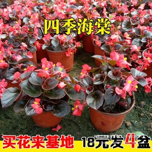 �ļ����Ļ����������ĺ��B�҃��ļ��_���������r�����Ԏ������]