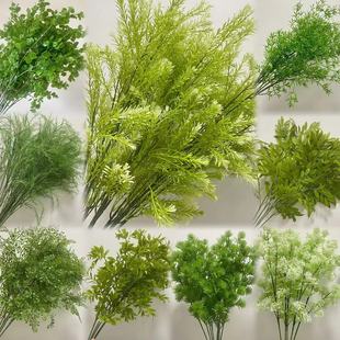 پGֲȼ횲ǧӽG~컨c^bķ