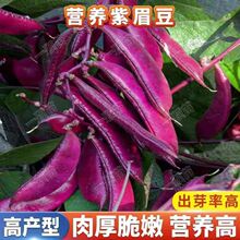 �t����ⶹ�N��ժ�����ϼtü���ǷN���r���Ϸ��ļ��߲���ü���N��