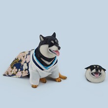 JXK���L��Ȯģ�� �w�C���ɐۺͷ�С��������߅�Ʉ��p�^�����k