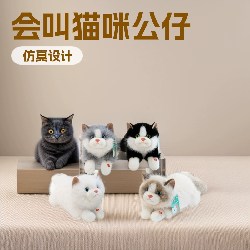 Plush cute realistic rag doll, toy, pillow, cat, kitten, Birthday gift