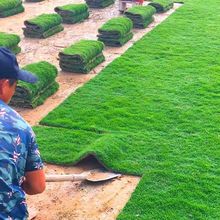 ��Ƥ���ƺ�������e�����@�ļ�����X��̨�����R����ͥԺ������Ƥ