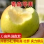 产地新鲜直发水果