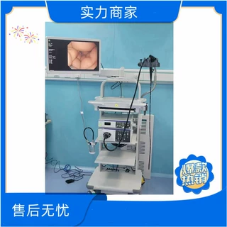 奥林巴斯cv290胃肠镜GIF-HQ290 CF-HQ290 GIF-H290  GIF-H290zi  