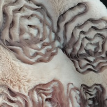 С��ëС�ýq�P�������q�� �pɫ���P������ ̺�ӱ�������