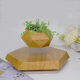 小夜灯;展示架;教学演示用品