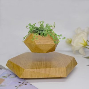 Magnetic Levitation Potted Plant New Levitation Bonsai Diamond-Shaped Potted Magnetic Levitation Flower Pot Dropshipping