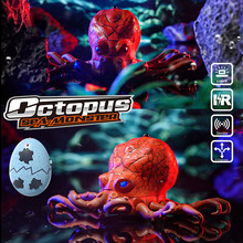 ��צ�~�t�⾀�b�ط������ ��צ�~�������ģ�Ͷ�؈���ͯ���