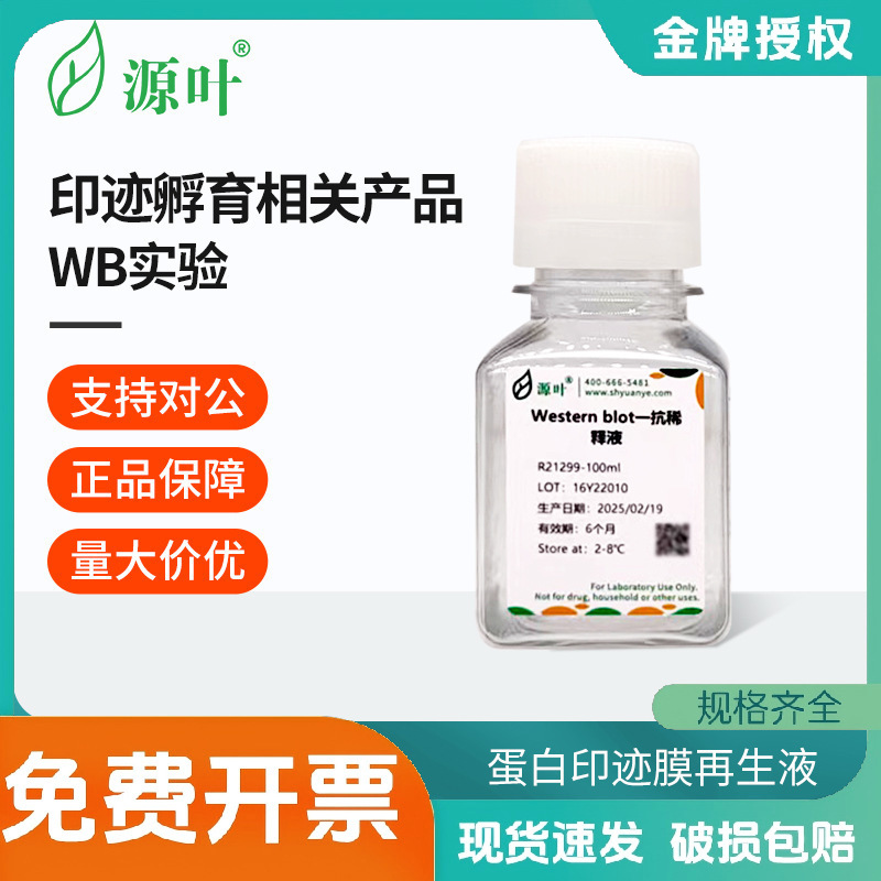 源叶印迹孵育蛋白印迹膜再生液Western blot稀释液抗体洗脱/稀释