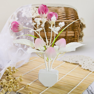 2026�¿�����������Б��� ����Сҹ�� LED����߲�Сҹ���R��