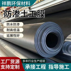糙面土工膜厂家柱点土工膜hdpe土工膜垃圾填埋场人工湖沼气池鱼塘
