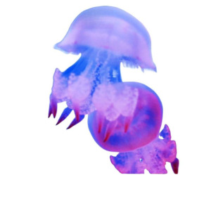 ˮĸ���lֻ�^�p�o������ˮĸ/ˮĸ�����^�pˮĸ�[�ؔ����l
