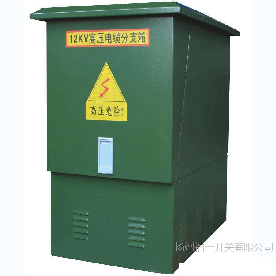 福一 10KV高压电缆分支箱DFW-10一进一二三四五六七八出