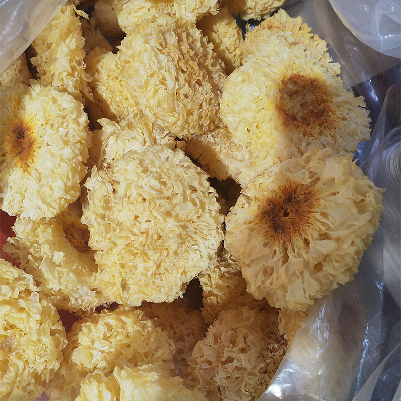 13639cd93f095badd52c509a9fb4ce