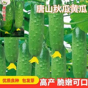 ɽSϷNϺڴСˮ߲˹ϹN