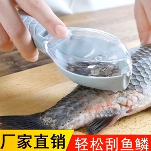 Manufacturer Wholesale Fish Scale Scraper with Cover, Fish Scale Scraper, Manual Fish Scale Scraper, Fish Scale Removal Kitchen Gadget