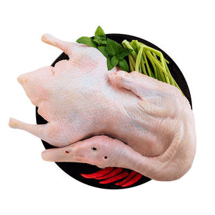 2ֻ���]�r��ɢ�B������ֻ�����������r����F���F�l