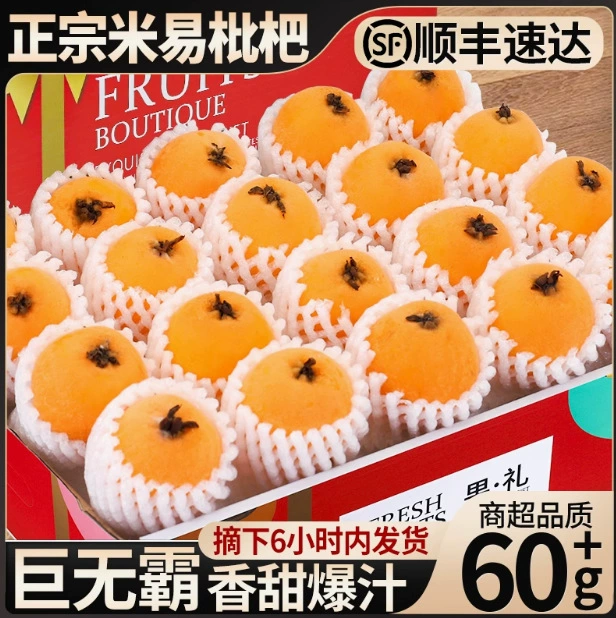SF Express Очень большой фрукт 2.5kg Аутентичные свежие фрукты Miyi Loquat Целая коробка Loquat Сладкая сезонная подарочная коробка