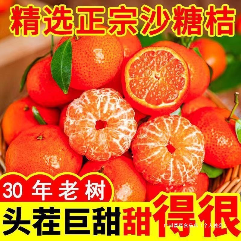 现发薄橘沙糖桔砂糖广西亚马逊橘子现摘子超无籽当季新鲜水果甜皮