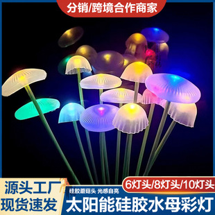 ̫���ˮĸ�����Ñ���ͥԺ���^�Շ������@�̨�ʟ���ƺ�b�Ģ����