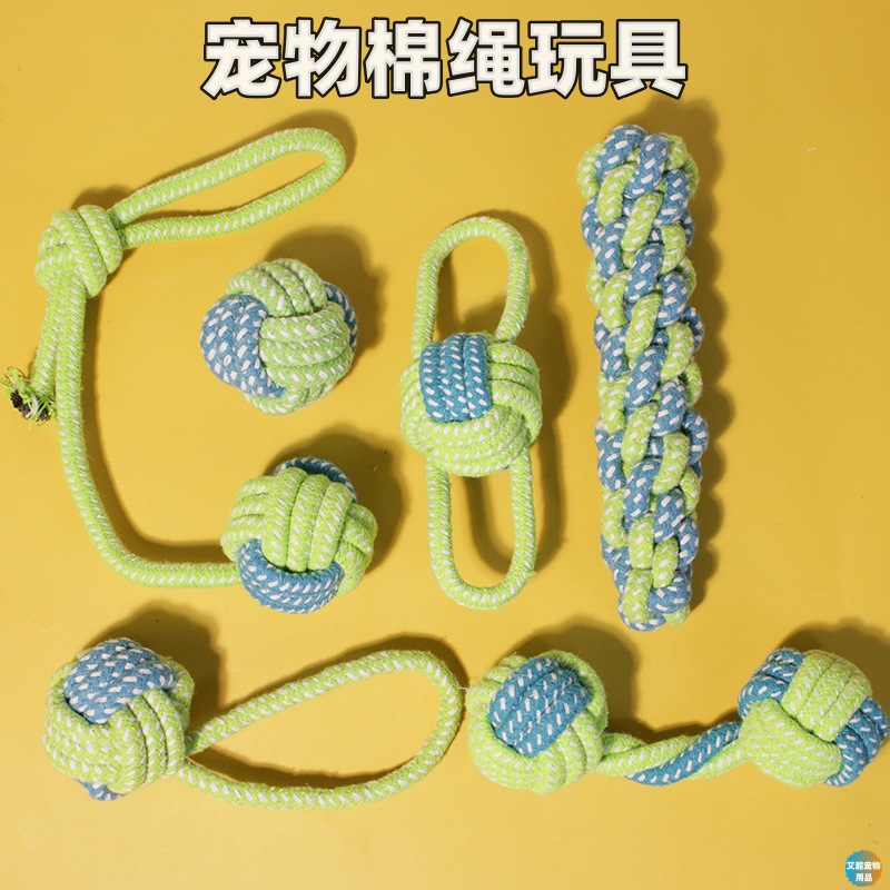 Wear-resistant interactive toy for training
