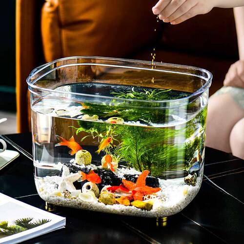 Fish tank aquarium lazy transparent hot-bent goldfish tank living room balcony household small and medium-sized ecological desktop tank plastic