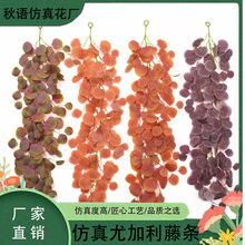 ���R�d�羳�����ȼ����ٗl�����b�����ɳ���~�Gֲ�ٗl��Y������