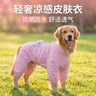 �����ļ��p���������_����Ƥ�w�´�����K���x����Ȯ�Ӽҷ���ë��