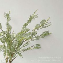 仿真洛尘含羞草害羞草植绒仿木枝干插花配材家居装饰绿植假花批发