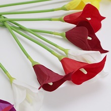 羳QָRɏ滨 Y·廨bٻ ҾӔ[