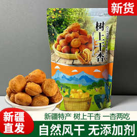 新疆库车农家小黄杏干今年新货树上吊干杏新疆杏干500g果脯