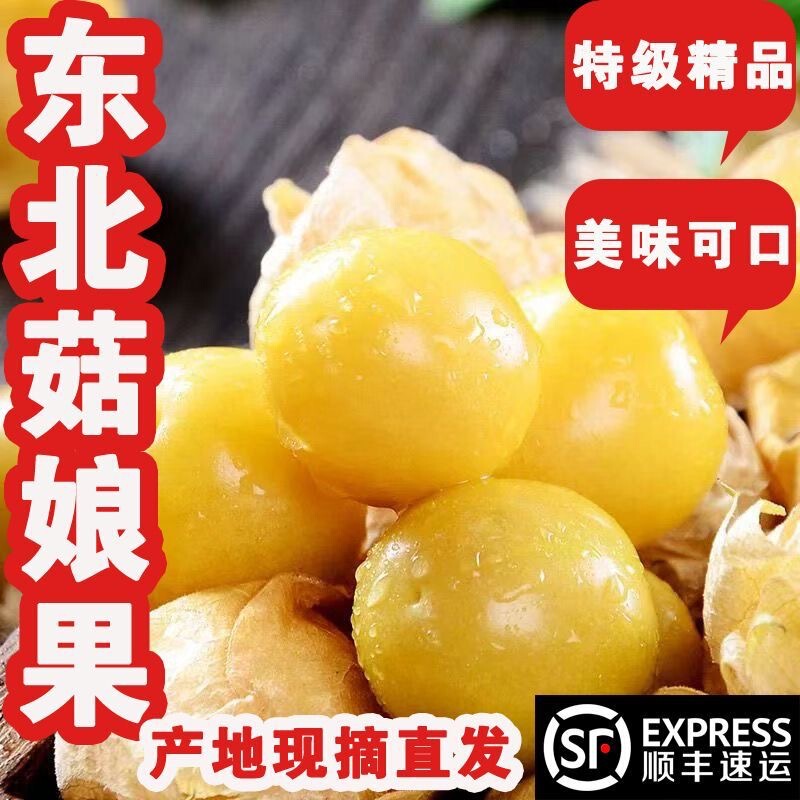 Yunnan Girl Fruit 2.5kg Fresh Large Fruit Specialty Fruit Lantern Fruit Small Golden Bean Sweet Mushroom Fruit Yunnan Girl Fruit 2.5kg Fresh Large Fruit Specialty Fruit Lantern Fruit Small Golden Bean Sweet Mushroom Fruit