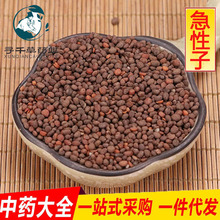 ��ș�����l ������ ������ �P�ɻ��N�� �o����؛ ����r��