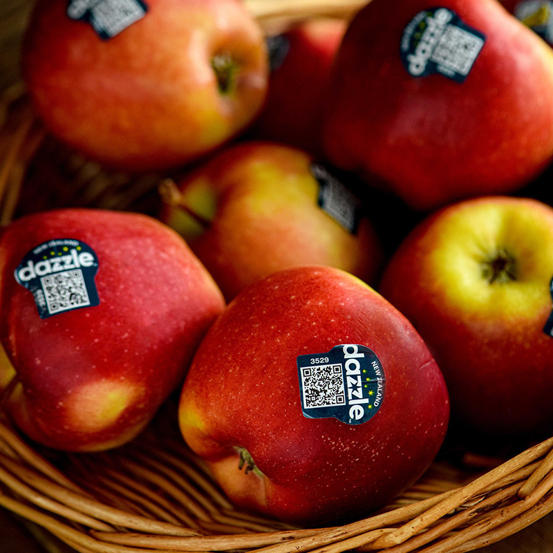 New Zealand Dazzle Apple Imported Crispy Red Rose Apple Dazzle Queen Fresh Crispy Sweet Fruit with Free Shipping New Zealand Dazzle Apple Imported Crispy Red Rose Apple Dazzle Queen Fresh Crispy Sweet Fruit with Free Shipping