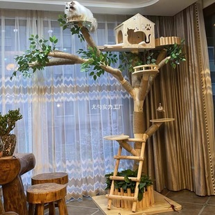 [Cat Climbing Frame] Cat Nest Integrated Cat Toy Cat Scratch Board Cat Climbing Frame Cat Tree House