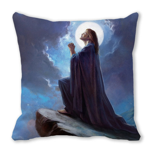 Merry Christmas Merry Christmas Encrypted Peach Skin Home Decoration Sofa Cushion Pillow ZT436