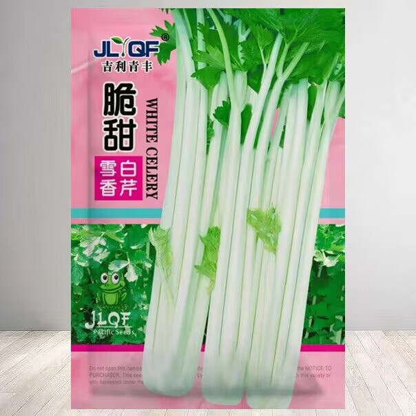 Four Seasons Fragrant White Celery Seeds Celery Seeds Crisp and Tender Fiber-Free Four Seasons Balcony Potted Field Vegetable Seeds